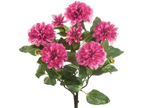 18" Zinnia Bush x5 Two Tone Beauty (Pack of 12) - Artificial Flower Arrangements Product: 18" Zinnia Bush x5 Two Tone Beauty (Pack of 12)