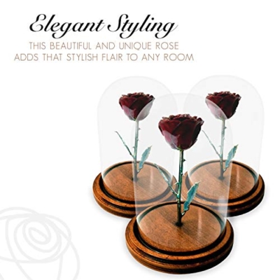 Product: Forever Rose Enchanted Burgundy Preserved Rose | Hand Dipped Rose in Lacquer with A Copper Stem, in A Glass Dome | Inspired by Beauty and The Beast Flower | Romantic Gifts for Women
