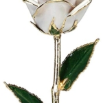 Product: Allmygold Snow White 24k Gold Dipped Long Stem Genuine Rose