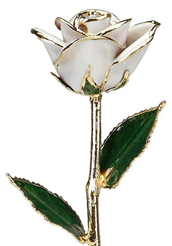 Allmygold Snow White 24k Gold Dipped Long Stem Genuine Rose - Artificial Flower Arrangements Product: Allmygold Snow White 24k Gold Dipped Long Stem Genuine Rose