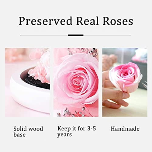 Product: KDFJ Eternal Rose Preserved Real Flower with Lucky Cat Doll in Glass Dome,Forever Rainbow Rose Artificial Flower Glass Dome, Galaxy Eternal Rose,Pink