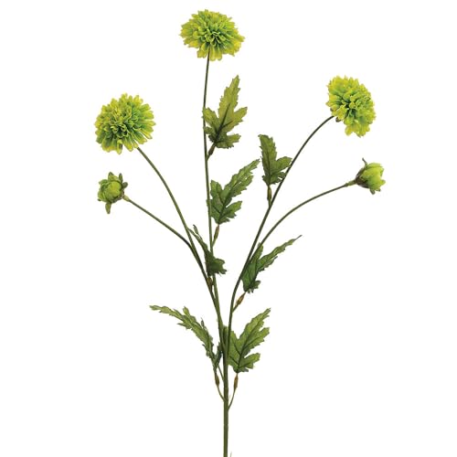 28" Pompon Mum Silk Flower Stem -Green (Pack of 12) - Artificial Flower Arrangements Product: 28" Pompon Mum Silk Flower Stem -Green (Pack of 12)