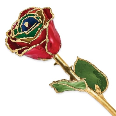 Product: Allmygold 24K Gold Plated Rose Gypsy Rainbow Gold 11"