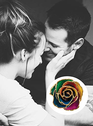Silky Flower Store Preserved Real Rose 24K Gold Trim Gift Box, Long Stem Rainbow Rose Decorative Keepsake, 11-12in 1 1 Product: Long Stem Dipped 24K Gold Trim Rainbow Genuine Rose in Gift Box- El tallo Largo sumergió 24K Gold Trim Rainbow Rose genuina en caja de Regalo