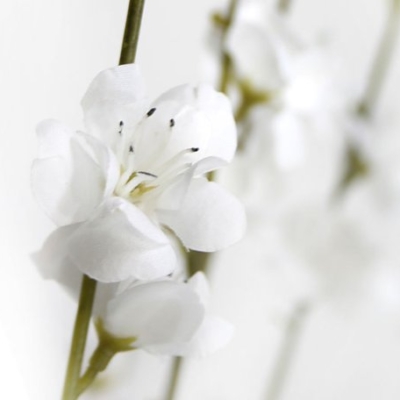 Product: 24 pieces of 27" Cherry Blossom Artificial Silk Flower Sprays White