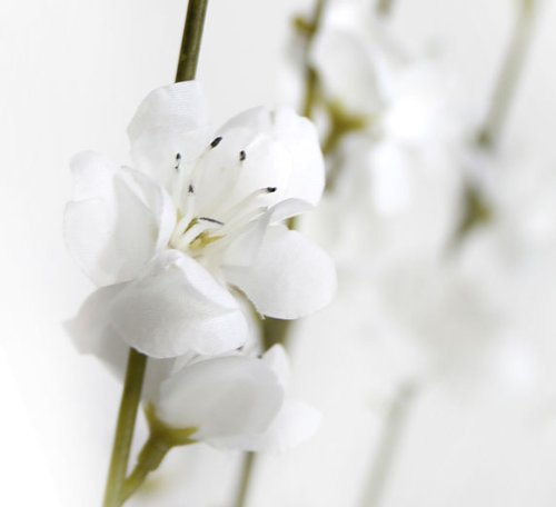 Product: 24 pieces of 27" Cherry Blossom Artificial Silk Flower Sprays White