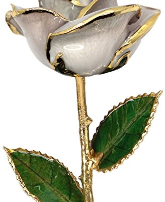 Product: Pearl White 24k Gold Rose - Real Rose Dipped in Gold