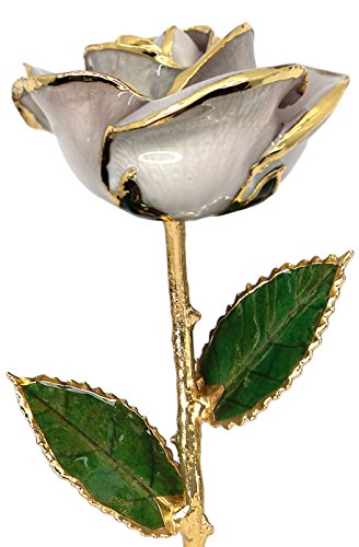 Product: Pearl White 24k Gold Rose - Real Rose Dipped in Gold