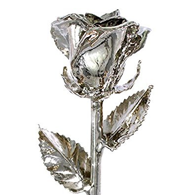 Product: Allmygold Platinum Dipped 11" Real Venus Rose
