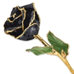 Product: Allmygold 11" 24K Gold Dipped Real Rose (Black)