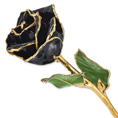 Product: Allmygold 11" 24K Gold Dipped Real Rose (Black)
