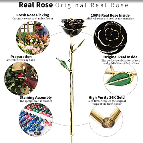 Product: MAXSPT Gold Real Rose, Gold Dipped Rose Made from Real Rose Best Gifts for her and Great Gifts for Girlfriend, Black with Stand
