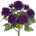 Product: 18" Zinnia Bush x5 Purple (Pack of 12)