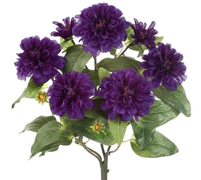 Product: 18" Zinnia Bush x5 Purple (Pack of 12)