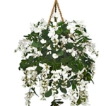 Product: Arcadia Silk Plantation Extra Full Artificial Wisteria Hanging Basket,