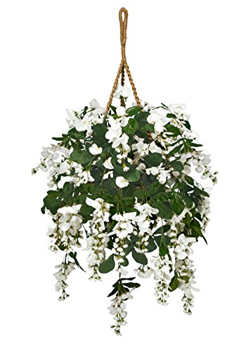 Product: Arcadia Silk Plantation Extra Full Artificial Wisteria Hanging Basket,