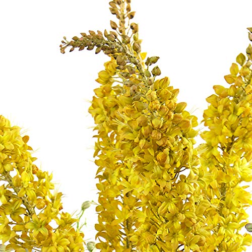 Product: Nearly Natural 1423-YP Delphinium & Foxtail Silk Floral Arrangement, H