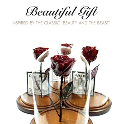 Product: Forever Rose Enchanted Burgundy Preserved Rose | Hand Dipped Rose in Lacquer with A Copper Stem, in A Glass Dome | Inspired by Beauty and The Beast Flower | Romantic Gifts for Women