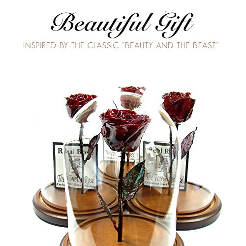 Product: Forever Rose Enchanted Burgundy Preserved Rose | Hand Dipped Rose in Lacquer with A Copper Stem, in A Glass Dome | Inspired by Beauty and The Beast Flower | Romantic Gifts for Women