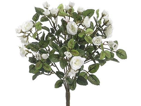 Arcadia Silk Plantation 12.5" Mini Rose Bush x8 White (pack of 36) - Artificial Flower Arrangements Product: Arcadia Silk Plantation 12.5" Mini Rose Bush x8 White (pack of 36)