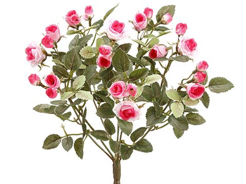 Arcadia Silk Plantation 12.5" Mini Rose Bush x8 Pink (pack of 36) - Artificial Flower Arrangements Product: Arcadia Silk Plantation 12.5" Mini Rose Bush x8 Pink (pack of 36)