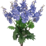 Product: 26" Delphinium Bush x7 Helio (Pack of 12)