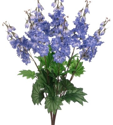 Product: 26" Delphinium Bush x7 Helio (Pack of 12)