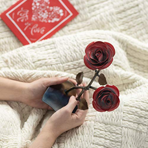 Silky Flower Store Hand-Forged Wrought Iron Double Red Metal Rose Twist Iron Anniversary Gift, Blacksmith Quebec, 8.5in 7 7 Product: Hand-Forged Wrought Iron Double Red Metal Rose with Twist - Iron Anniversary gift