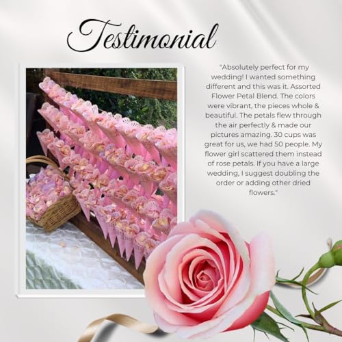 Silky Flower Store Real Rose Petals Bridal Pink, Eco-Friendly Freeze-Dried Petals Made in USA, 30 Cups 3 3 Product: Rose Petals Bridal Pink. Sale on 30 Cups. Real Rose Petals. Eco-Friendly. Made in The USA. No Tariffs.