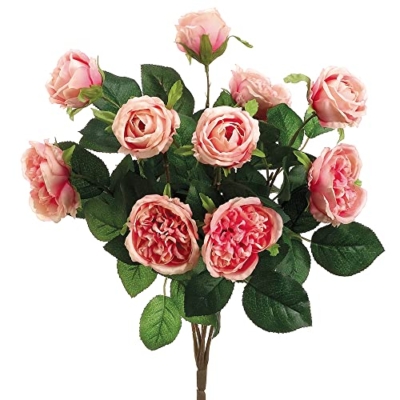 Product: 16" Cabbage Rose Bush x10 Two Tone Pink (Pack of 12)