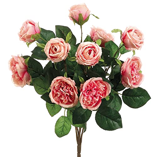 16" Cabbage Rose Bush x10 Two Tone Pink (Pack of 12) - Artificial Flower Arrangements Product: 16" Cabbage Rose Bush x10 Two Tone Pink (Pack of 12)