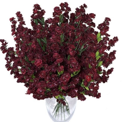 Product: 1920 Baby's Breath Gypsophila Artificial Silk Flowers_Burgundy/Red