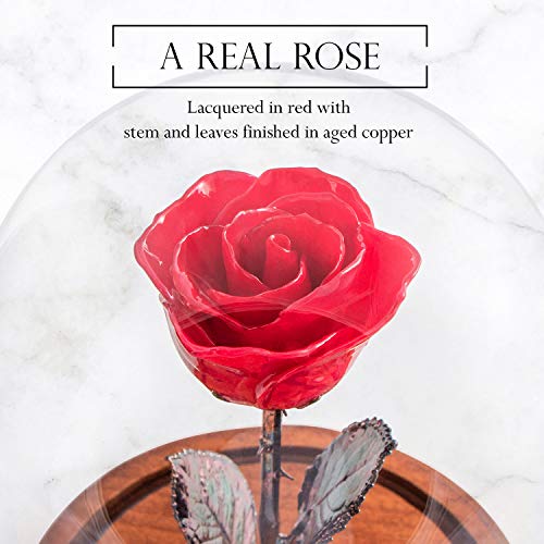 Product: Forever Rose Enchanted Red Preserved Rose | Hand Dipped Rose in Lacquer with A Copper Stem, in A Glass Dome | Inspired by Beauty and The Beast Flower | Romantic Gifts for Women