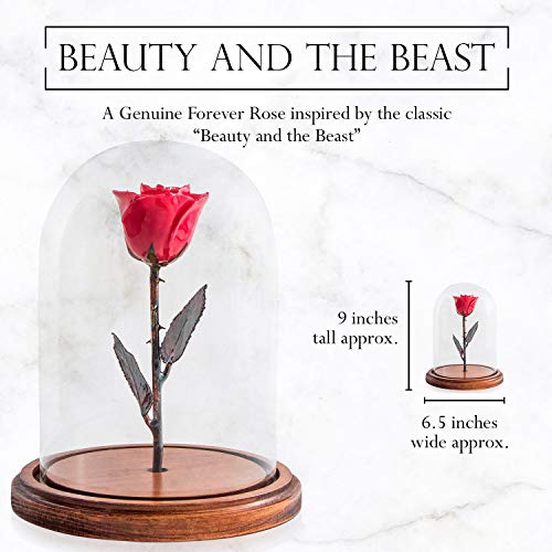 Product: Forever Rose Enchanted Red Preserved Rose | Hand Dipped Rose in Lacquer with A Copper Stem, in A Glass Dome | Inspired by Beauty and The Beast Flower | Romantic Gifts for Women