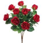 Product: 16" Cabbage Rose Bush x10 Red (Pack of 12)