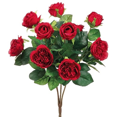 Product: 16" Cabbage Rose Bush x10 Red (Pack of 12)