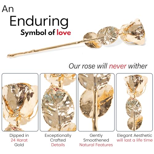 Silky Flower Store 24K Gold Dipped Long Stem Preserved Rose Gift for Wife, Mother, Best Friend, Elegant Display 32.5cm 2 2 Product: VonDelve 24K Gold Dipped Long Stem Real Rose, Natural Handpicked Genuine Flower Preserved as an Everlasting Keepsake for Wife, Mother or Best Friend, Birthday or Anniversary
