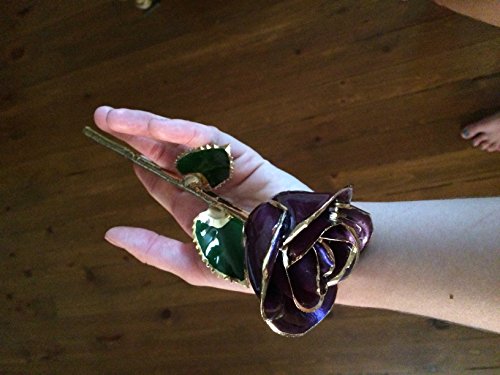 Product: Gold-Trimmed Purple Preserved Rose