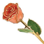 Product: Allmygold 11" 24K Gold Dipped Real Rose (Orange)