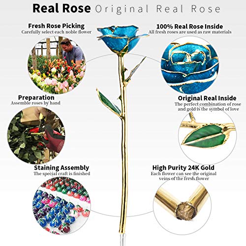 Product: MAXSPT Romantic Rose Gift for her,Eternity Gold Rose Flower 24k Gold Dipped Rose and Romantic Gift for her Rose,SkyBlue with Stand