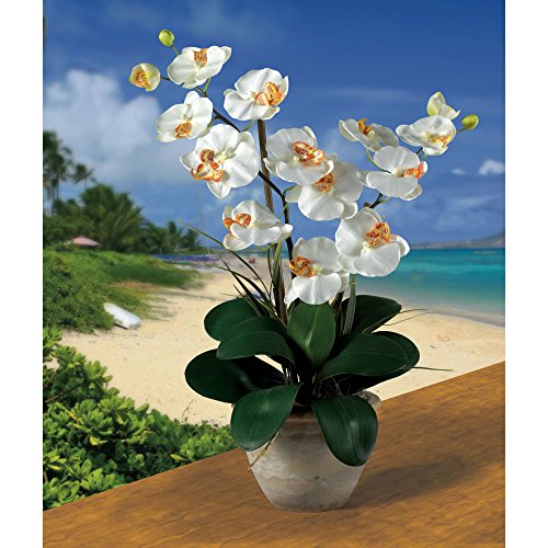 Silky Flower Store Double Stem Phalaenopsis Silk Orchid Arrangement, Faux White Orchid Table Decor, Long Lasting Artificial Floral Display, 32.5cm 2 2 Product: Double Stem Phalaenopsis Silk Orchid Arrangement