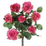Product: 21.5" Confetti Rose Bush x7 Two Tone Rose (Pack of 6)