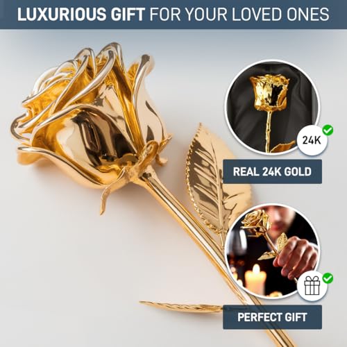 Silky Flower Store 24K Gold Dipped Real Rose, Mikamax Certificate of Authenticity, Luxurious Gift Box, 7 to 8 Inches, 32 x 5 x 11 cm 3 3 Product: mikamax 24k Gold Rose - Real Rose Dipped in Gold with Certificate of Authenticity - 7-8 Inches - Luxurious Box 32 x 5 x 11 cm