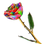 Product: Allmygold 24k Gold Dipped Paradise Neon Tie Dyed Real Rose