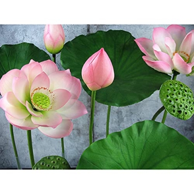Product: ALXFFBN 8pcs Artificial Lotus Stem Faux Lotus Flower Artificial Bud Flowers for Garden Koi Fish Pond Aquarium Pool Wedding Decor, 2 Lotus Flower + 2 Lotus Bud + 2 Lotus Pods + 2 Lotus Leaves