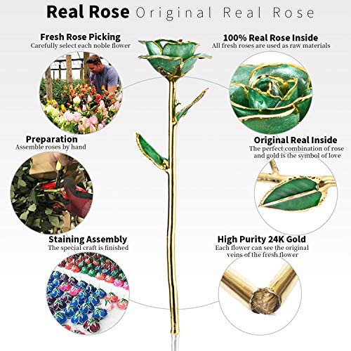 Silky Flower Store 24K Gold Plated Real Rose Gift for Her, Green with Stand, Deluxe Box, Certificate of Authenticity, 24cm 2 2 Product: MAXSPT Gift for her Rose, 24k Golden Rose Made from Real Rose Great Gifts for her and Best Gifts for Wife, Green with Stand