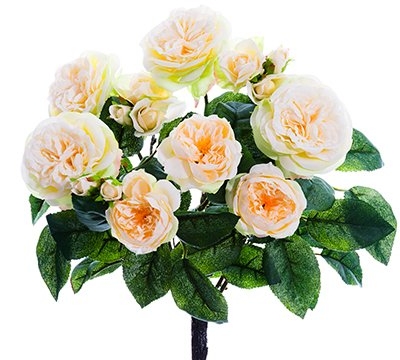 Product: Arcadia Silk Plantation 15" Rose Bush x7 Cream (pack of 12)
