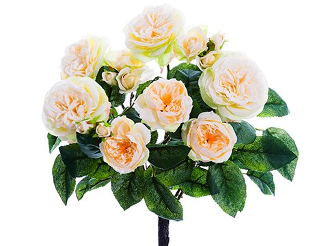 Arcadia Silk Plantation 15" Rose Bush x7 Cream (pack of 12) - Artificial Flower Arrangements Product: Arcadia Silk Plantation 15" Rose Bush x7 Cream (pack of 12)