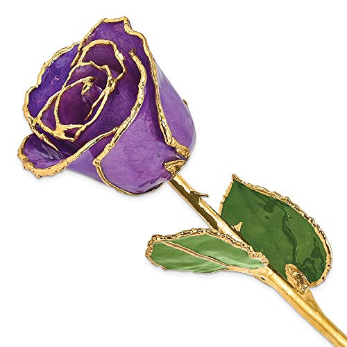 Allmygold 11" 24K Gold Dipped Real Rose (Purple) - Artificial Roses Product: Allmygold 11" 24K Gold Dipped Real Rose (Purple)