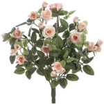 Product: Arcadia Silk Plantation 12.5" Mini Rose Bush x8 Cream Peach (pack of 36)